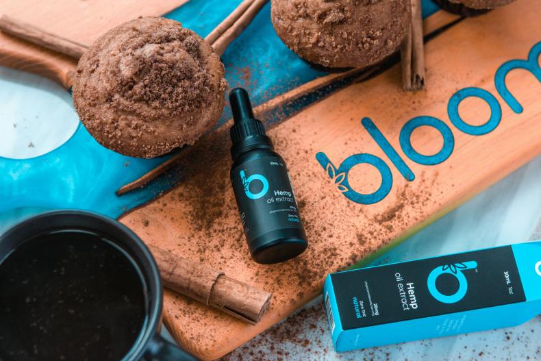 A cohesive brand identity showcased with a spread of products and packaging