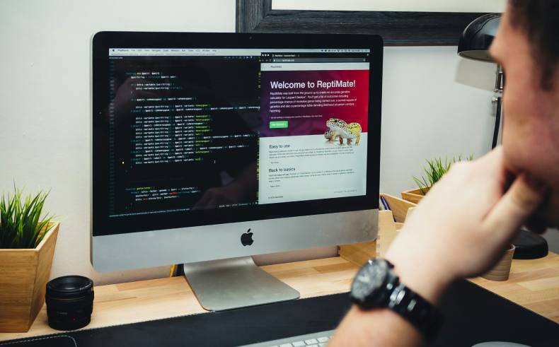 Web design professional analyzing a website