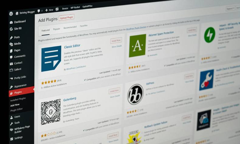 WordPress plugin search